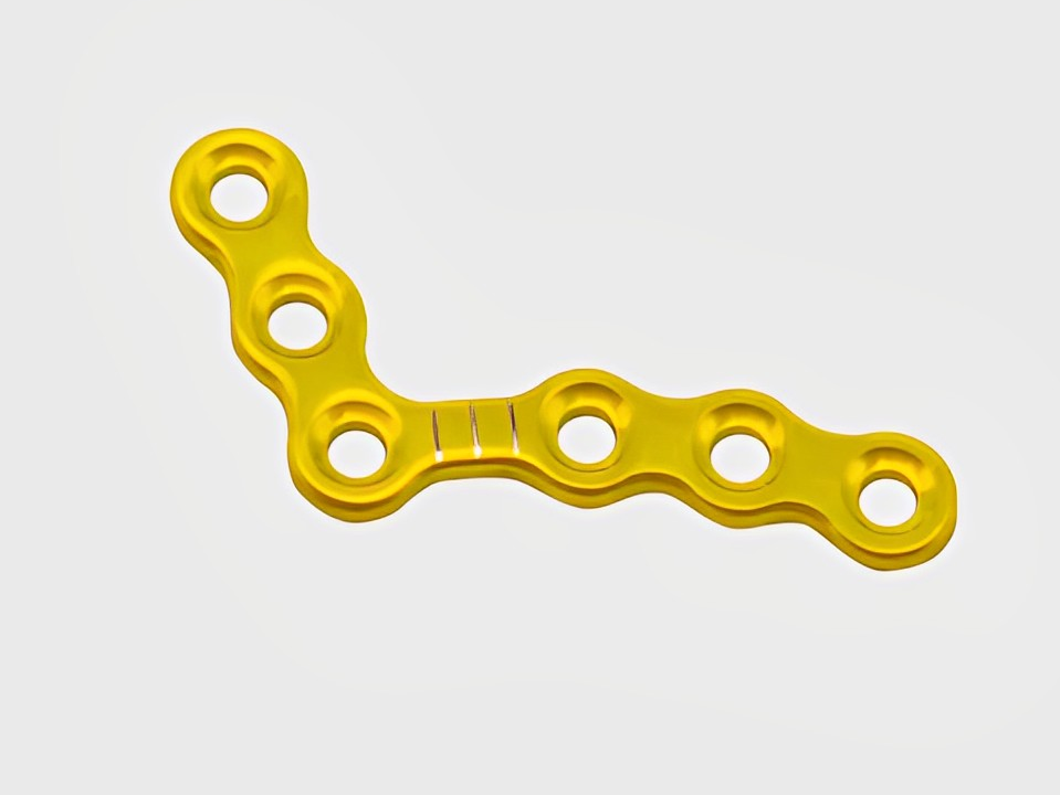 Plaque orthognathique